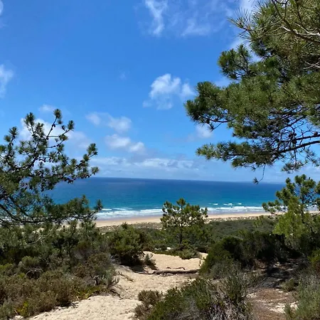 Willa Luxury Between Nature And The Amora