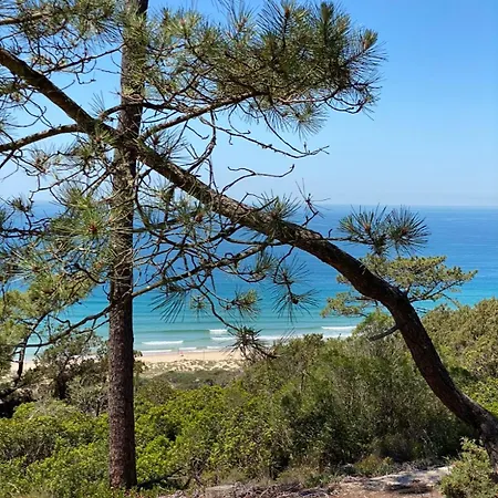 Luxury Surrounded By Nature And Amora