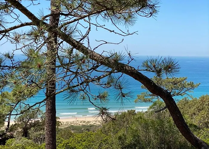 Luxury Surrounded By Nature And Амора